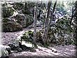 IMG_0729.JPG