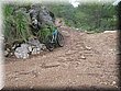 IMG_2526.JPG