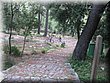 IMG_2872.JPG