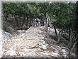 IMG_3236.JPG
