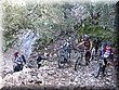 IMG_3841.JPG