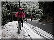 IMG_4267.JPG