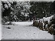 IMG_4288.JPG