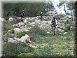 IMG_0438.JPG