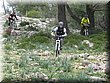 IMG_0446.JPG