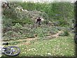 IMG_0484.JPG