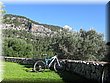 IMG_0563.JPG