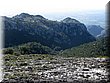 IMG_0958.JPG
