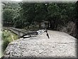 IMG_2012.JPG