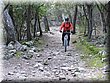 IMG_2536.JPG