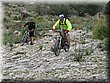 IMG_2968.JPG
