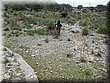 IMG_2990.JPG