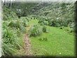IMG_3381.JPG