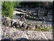 IMG_3453.JPG