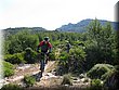 IMG_4022.JPG