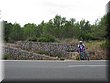 IMG_5112.JPG