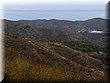 IMG_5241.JPG