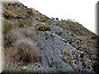 IMG_5283.JPG
