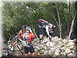 IMG_6386.JPG