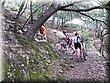 IMG_7367.JPG