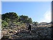 IMG_9167.JPG