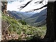 IMG_9785.JPG