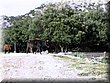 IMG_0089.JPG