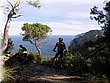 IMG_0236.JPG