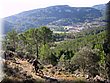 IMG_0492.JPG