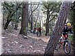 IMG_0524.JPG