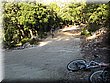 IMG_1636.JPG