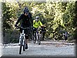 IMG_1645.JPG