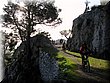 IMG_1659.JPG