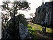 IMG_1660.JPG