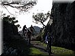IMG_1664.JPG