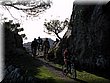 IMG_1665.JPG