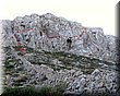 IMG_1677.JPG