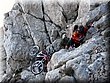 IMG_1686.JPG