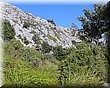 IMG_1739.JPG