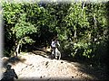 IMG_1803.JPG