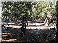 IMG_1808.JPG