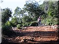IMG_1810.JPG