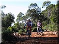 IMG_1812.JPG