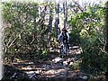 IMG_1814.JPG