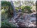 IMG_1818.JPG