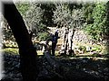 IMG_1832.JPG