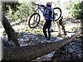 IMG_1833.JPG