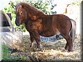 IMG_1848.JPG