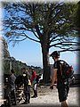 IMG_1856.JPG