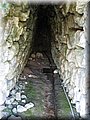 IMG_1861.JPG